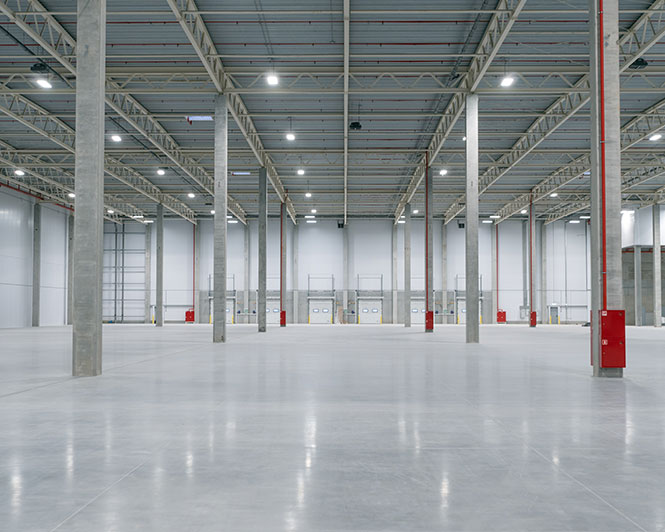 Stellar First Impression